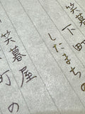 Original Ink "Matsuri" (Shimmer Violet Black) Shitanachi series, Dye-based Ink