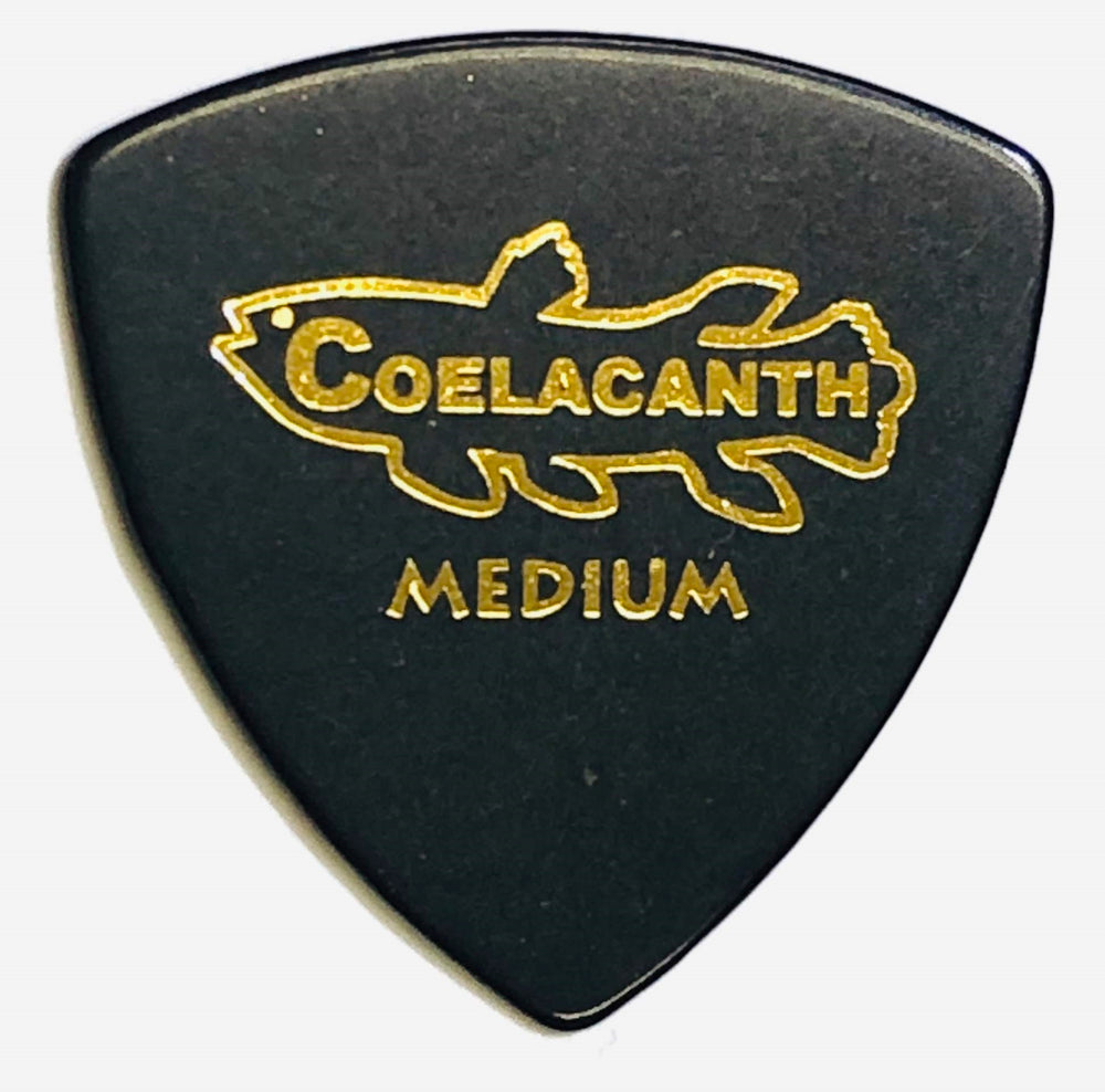 [Triangle Medium 0.8] Ebonite Guitar Pick "COELACANTH"